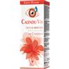 OMISAN FARMACEUTICI Srl CALENDUVIS Gtt Ocul.15ml