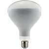 Lampadine LED Lampadina LED R125 E27 Dimmerabile
