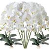 FagusHome 6 Pz Fiori Orchidea Phalaenopsis Fiori Artificiali 80cm con 4 Pz Foglie d'orchidea phalaenopsis Artificiale Fiori Finti