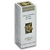 L'Erbolario ACQUA AROMATICA DI FIORI DI TIGLIO 200 ML