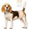 Pet Soft Maschio avvolge Cane Pannolini Super Assorbente Pannolini USA e Getta per Cani e Gatti M 12count (18'-25')