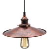 HTRUIYATY Plafoniera in Metallo E27 Lampadario Industriale Vintage Lampade a Sospensione da Soffitto Moderni Lampadario per Cucina Soggiorno Sospensione Rust 26 cm