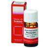 ERBORISTERIA MAGENTINA ROSMARINO OLIO ESSENZIALE 10 ML