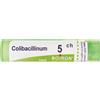 BOIRON Srl Colibacillinum 5Ch Granuli Multidose Boiron
