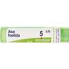 BOIRON Asa Foetida 5ch Granuli Multidose Boiron