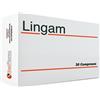 Lingam 30 compresse