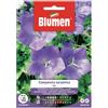 Blumen Campanula carpatica blu