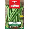 Blumen Fagiolini rampicanti Blue Lake