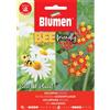 Blumen Bee asclepias rossa