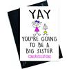 Wall Smart Designs gravidanza annuncio di sorpresa Cards going to be a Big Sister della figlia di New Baby Congratulations biglietti annuncio PC83