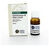 Forza Vitale ECOSOL QUINTESSENZA DI SEMI CALDI GOCCE 10 ML