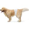 Amazon Basics Pannolini usa e getta per cani maschi, L, Confezione da 30, Bianco