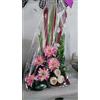 DONREGALOWEB Donregalooweb Centro di Fiori secchi e Artificiali, tonalità Rosa e Beige