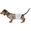 Amazon Basics Pannolini usa e getta per cani maschi, Piccolo (confezione da 30), Bianco