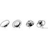 Osculati Bottoni a scatto A+B inox - 1000 PZ Osculati - 10.303.11 - 1030311