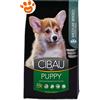 Farmina Cibau Dog Puppy Medium Pollo - Sacco da 2,5 kg