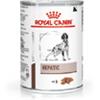 Royal Canin Hepatic canine umido - 6 lattine da 420gr.