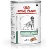 Royal Canin Diabetic Special Low Carbohydrate 410 gr Barattolo Umido Cane