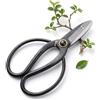 HAPPY SEED Forbici per Bonsai in Acciaio affilato - Strumento Tradizionale per la Coltivazione Professionale dei Bonsai - Ideale per Gemme, Foglie e Rami