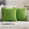 MIULEE Federe Cuscini per Divano Granulari Piccole per Cuscini Fodere Copricuscini Decorativi Morbidi Quadrati per Divano Lettoin Misto Poliestere Federa Casa 2 Pezzi Verde Mela 40x40cm