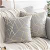 ETOLISHOP Cuscini per Divano 45x45 cm Grigio Cuscini per Divani Moderni Confezione 2 Federa in Velluto di Lusso 18x18 inch per Camera da Letto