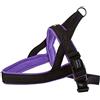 Nobby, pettorina per cani, tipo norvegese, modello Mesh Preno M-L(L:50 - 64 cm+42 cm; B:25/35 mm) lila