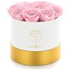 Amoroses 12 rose stabilizzate vere che durano anni - Fiori conservati idea regalo, rose eterne per occasioni speciali (Scatola Bianca con Rose Rosa)