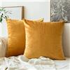 MIULEE Federe Cuscini Arredo Divano Copricuscini Soggiorno Federe Arredamento Casa Moderni Elegante Morbido Resistente in Velluto con la Cerniera Invisibile 2 Pezzi D'oro 40X40 CM