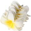 Muxsam - Confezione di 10 fiori di frangipani, in schiuma artificiale, ideali per matrimoni, Natale, feste e decorazioni per capelli