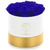 Amoroses LIMITED EDITION - Confezione regalo 12 Rose Stabilizzate Eterne - Elegante Bouquet di fiori veri (Scatola Bianca con Rose Blu)