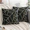 ETOLISHOP Cuscini 45x45 Cuscini per Divani Moderni Cuscino in Velluto Nero Copre un Set di 2 18 Pollici Fodera Cuscino Divani da Soggiorno
