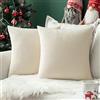 MIULEE Cuscini di Arredo Divano Copricuscini Camera da Letto Federe Arredamento Casa Moderni Elegante Morbido Resistente in Velluto con la Cerniera Invisibile 2 Pezzi 55X55 CM Bianco Crema
