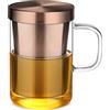 ecooe Bronzo Tazza da tè in Vetro, 500ml (Piena Capacità) Tazza da tè con Filtro in Acciaio Inox e Coperchio, Bicchiere da tè in Borosilicato per caffè Succo Bevande Gassate Latte Yogurt