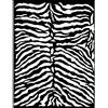 Stencil Savana Texture Zebrato