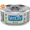 Farmina Cat Vet Life Renal - Lattina da 85 gr