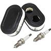 SWNKDG 2ST Filtro Aria + Candele per Motori Briggs & Stratton 550E 550EX Eco-Plus Serie 575EX Sostituisce 798339 798452 593260 093000er 09P0000 Motore 4247 5432 5432K