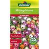 Dehner - Sementi per Fiori, Fiori di mezzogiorno Miscela di prumenti, Confezione da 5 (5 x 0,8 g)