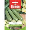 Blumen zucchino alberello