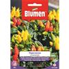 Blumen Peperoncino ornamentale