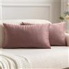 MIULEE Confezione da 2 Federe in Velluto Copricuscini Decorativi Fodere Quadrate per Cuscino per Divano Camera da Letto Casa30X50cm Marrone Rosa