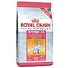 ROYAL CANIN ITALIA SpA Kitten - 2KG