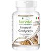 Fairvital | Cordyceps estratto 500mg - 1 mese - VEGAN - alto dosaggio - 90 capsule - Cordyceps Sinensis - standardizzato al 40% polisaccaridi