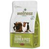 PADOVAN WELLNESS GUINEA PIGS