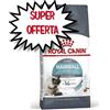 ROYAL CANIN GATTO ADULTO HAIRBALL CARE 4 KG