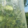 TENAX Mr.Tomato, Film Tubolare Microforato Giallo, 0,60x10 m, Specifico per la Coltivazione di Pomodori