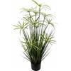 Flair Flower 151417 GN Cipro Erba i.t., Plastica, Verde, 90 x 28 x 28 cm