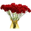 Rikyo, bouquet di 10 steli con fiori di carota artificiali in seta rossa, singolo fiore con testa da 50,8 cm e foglie verdi per decorazione della casa, centrotavola, matrimoni, feste nuziali
