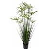 Flair Flower 151418 GN Cipro Erba i.t., Plastica, Verde, 120 x 35 x 35 cm