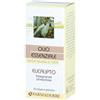 Farmaderbe OLIO ESSENZIALE EUCALIPTO 10 ML