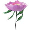 Sizzix Thinlits Die Set 5PK Wild Peony di Lisa Jones, 664926